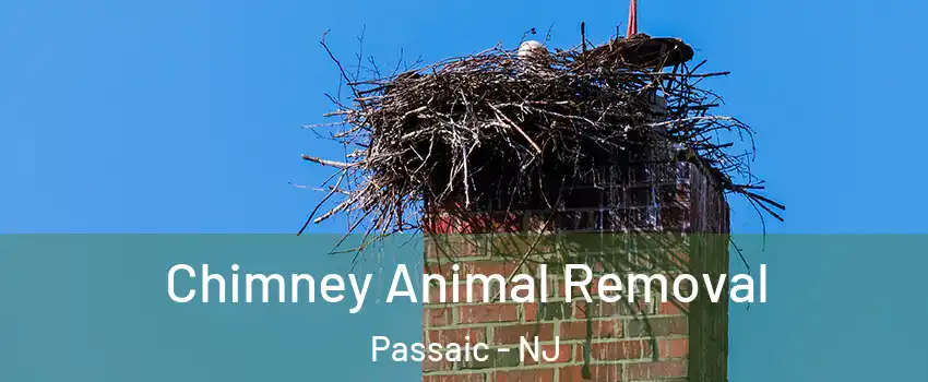  Chimney Animal Removal Passaic - NJ