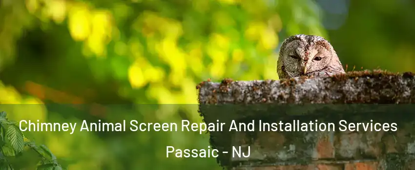  Chimney Animal Screen Repair And Installation Services Passaic - NJ