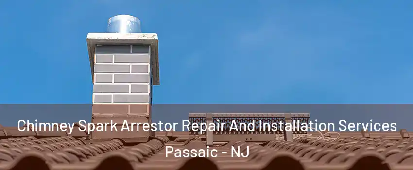  Chimney Spark Arrestor Repair And Installation Services Passaic - NJ