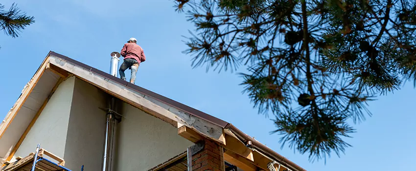 Birds Removal Contractors from Chimney in Passaic, NJ