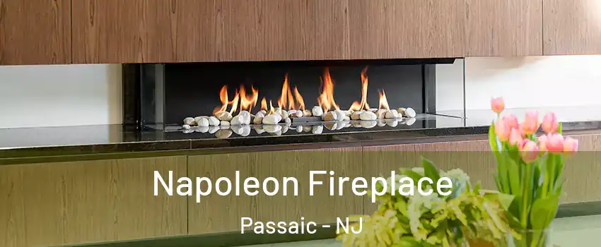  Napoleon Fireplace Passaic - NJ